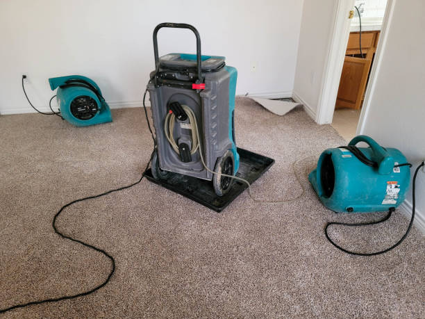 Best Local water damage restoration  in Ellisville, MS