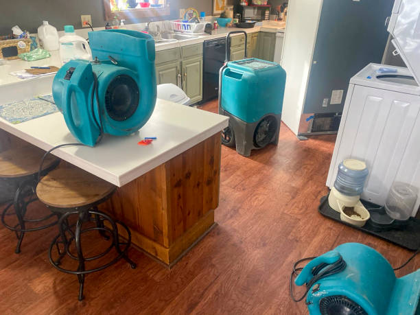 Best 24-hour water damage restoration  in Ellisville, MS