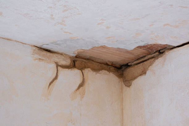 Best Water damage restoration near me  in Ellisville, MS