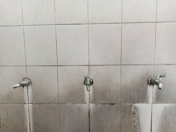 Best Flood restoration services  in Ellisville, MS