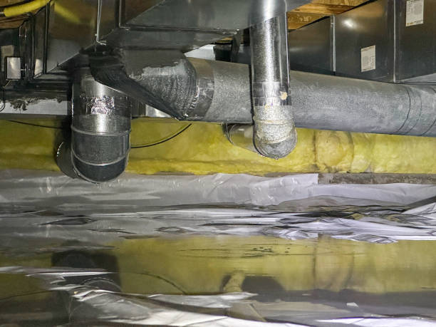 Best Carpet water damage restoration  in Ellisville, MS
