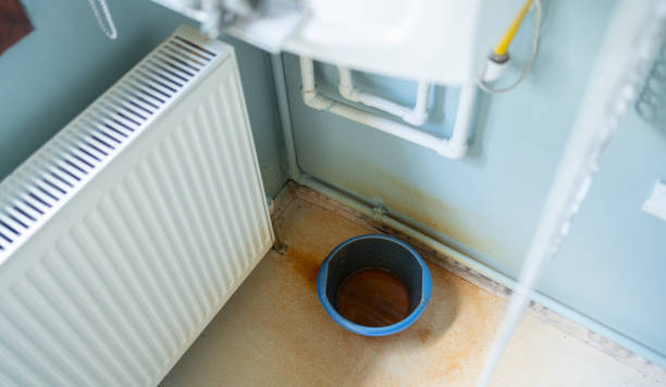 Best Fire Damage Restoration  in Ellisville, MS
