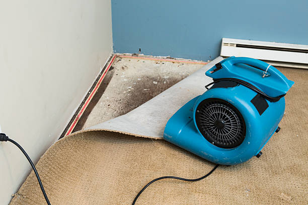 Best Residential water damage restoration  in Ellisville, MS